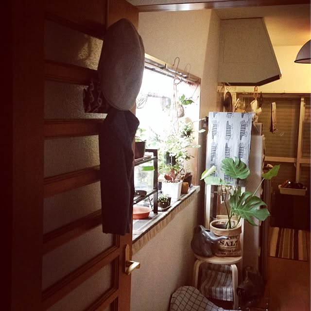 purr_purrさんの実例写真