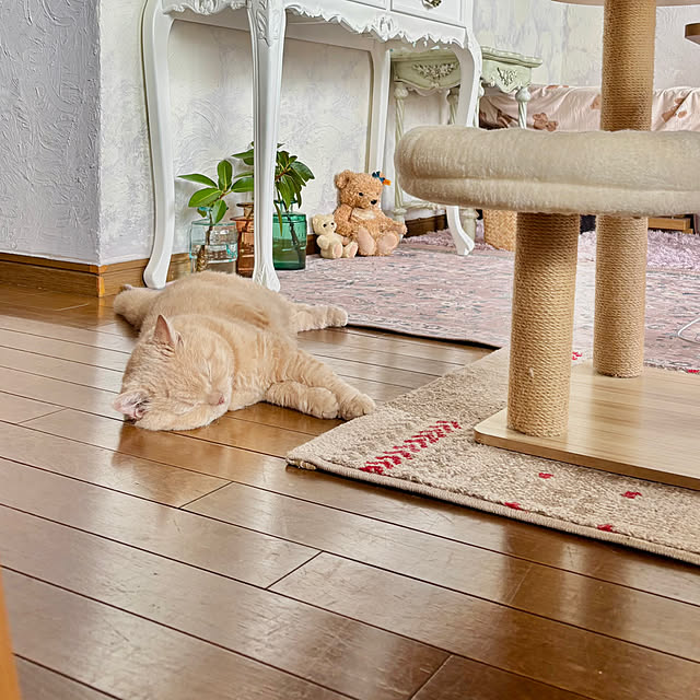 naokoさんの実例写真