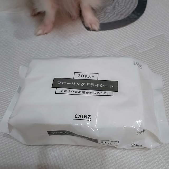 toratanさんの実例写真