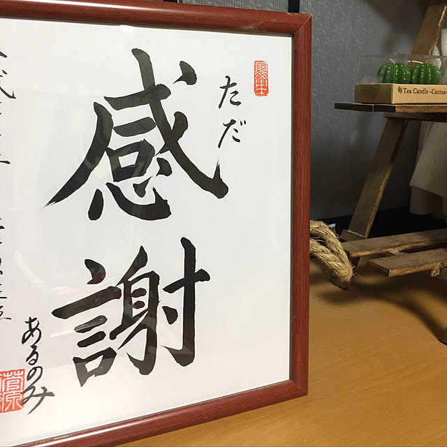 vol.1307写真