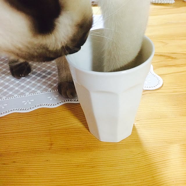chadoさんの実例写真