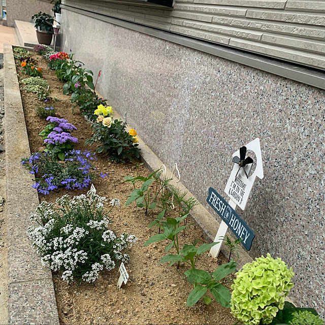 sinkanahouseさんの実例写真