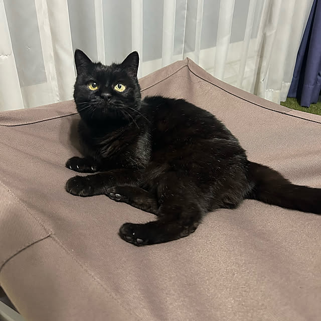 kuroさんの実例写真