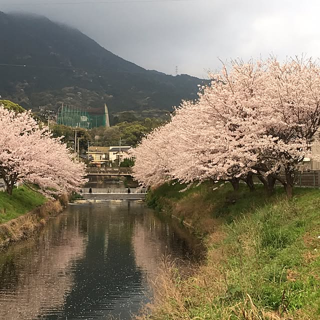 sorairoさんの実例写真