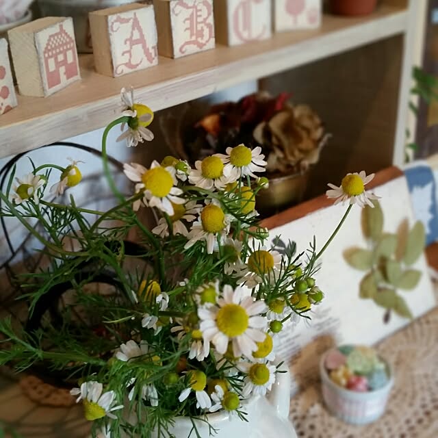 hitomiさんの実例写真