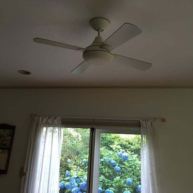 壁/天井のインテリア実例 - 2017-06-17 15:50:19