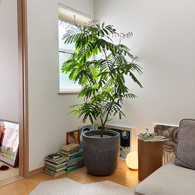 naoさんの実例写真