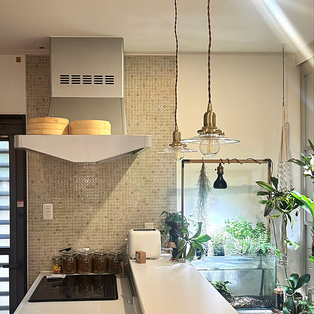 greycatsさんの部屋