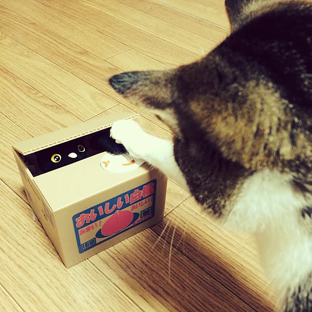 threeさんの実例写真
