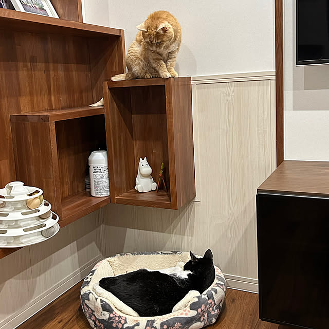 mikeume7さんの部屋