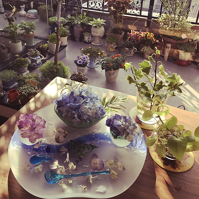 fuyiqian1026さんの実例写真