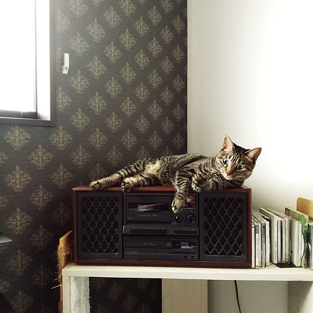 Mikaさんの実例写真