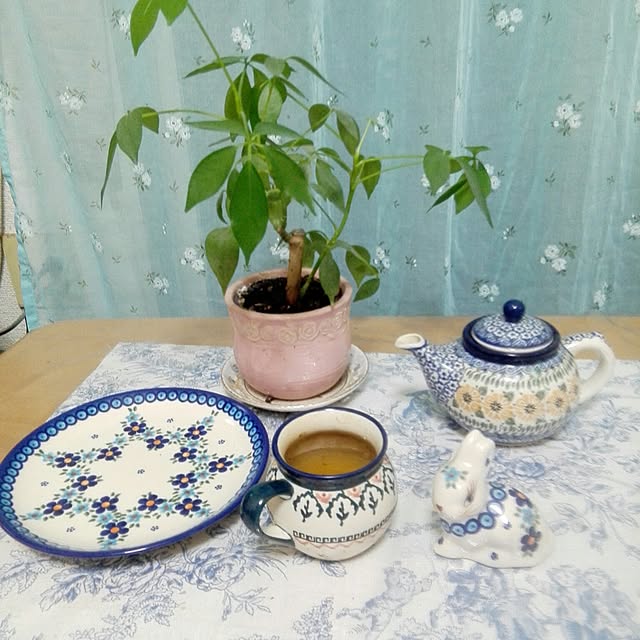 Junkojujuさんの実例写真