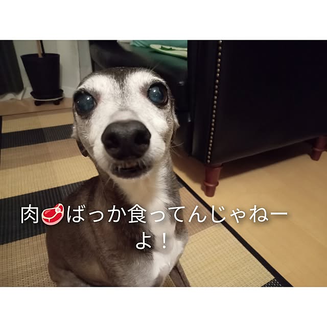moruさんの部屋