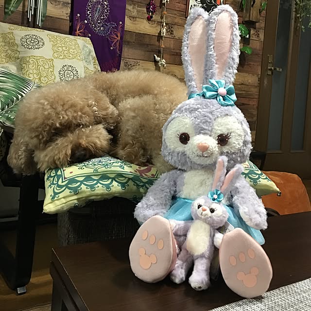 ronmaruさんの実例写真