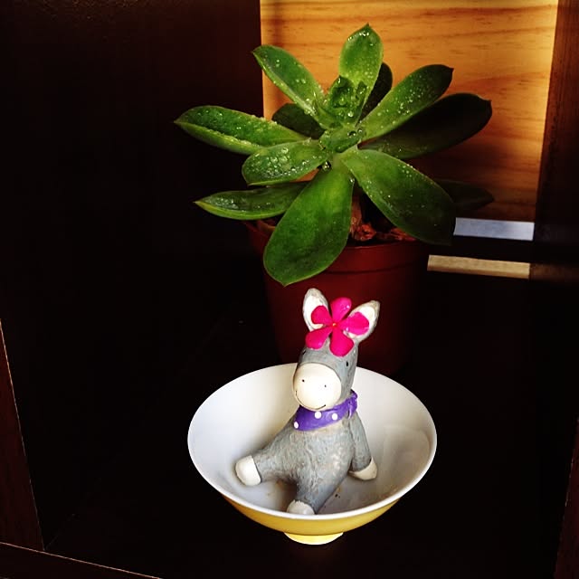 kiki1029さんの実例写真
