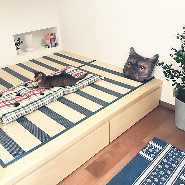 Yudaiさんの実例写真
