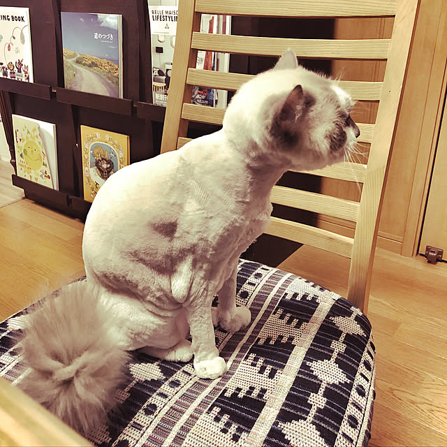 mizu.さんの実例写真