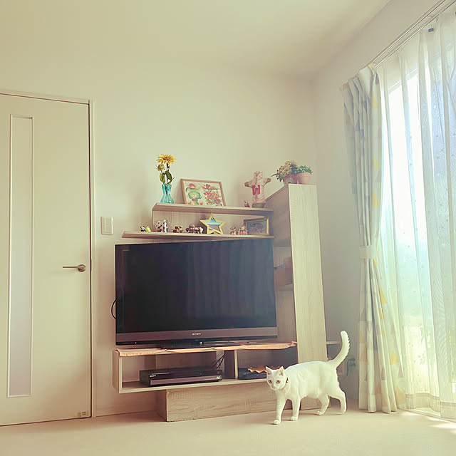 Maiさんの部屋