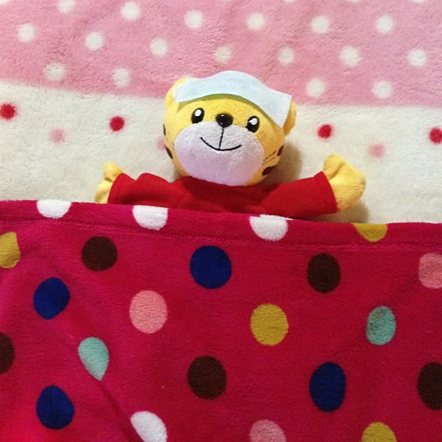 kohaさんの実例写真