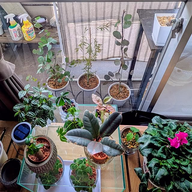 mi-saさんの実例写真