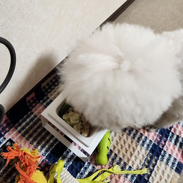 takoさんの実例写真