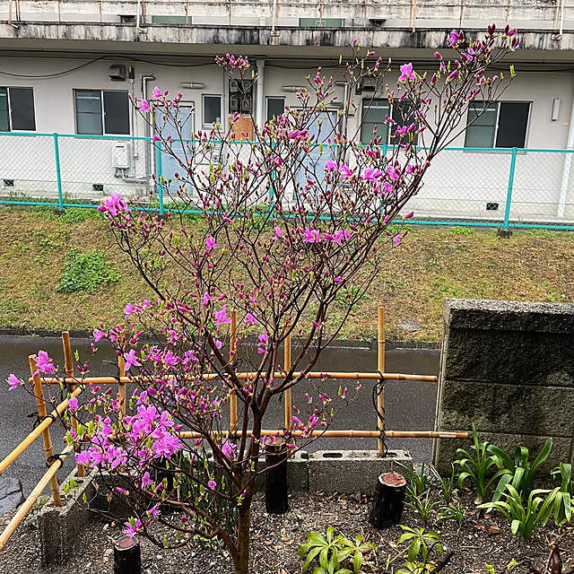 shin0719さんの部屋