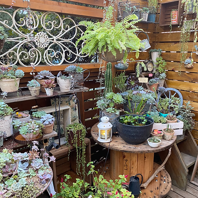 mintteaさんの実例写真