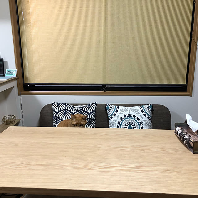 nakakoさんの実例写真