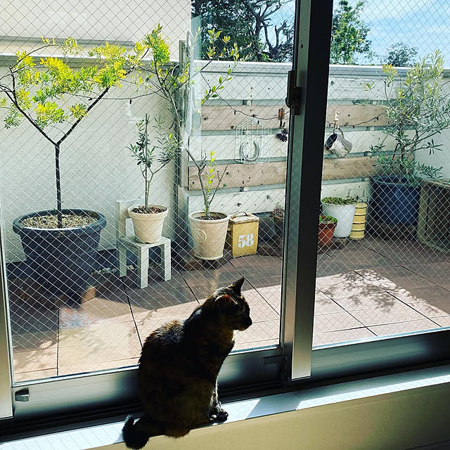 y.さんの実例写真