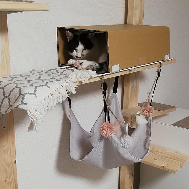 chocoさんの実例写真