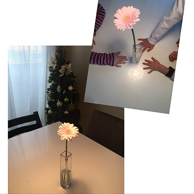 troisさんの実例写真
