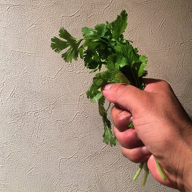 Bobさんの実例写真