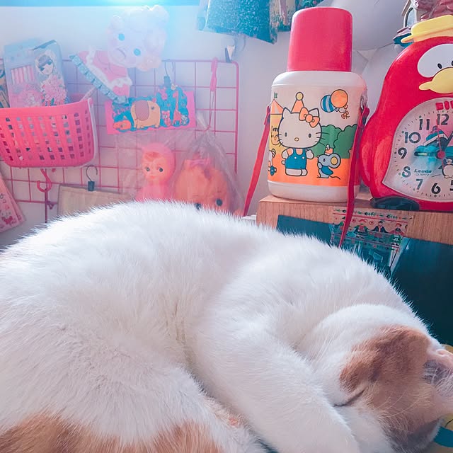 Karenさんの実例写真