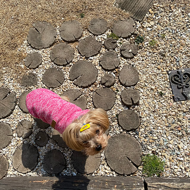 misacoさんの実例写真