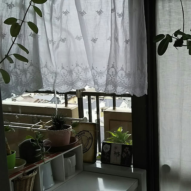 Yukariさんの実例写真