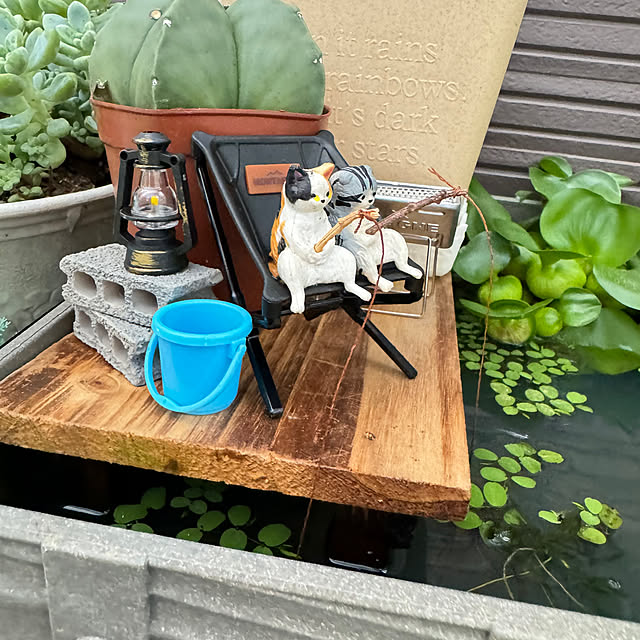 alicさんの部屋