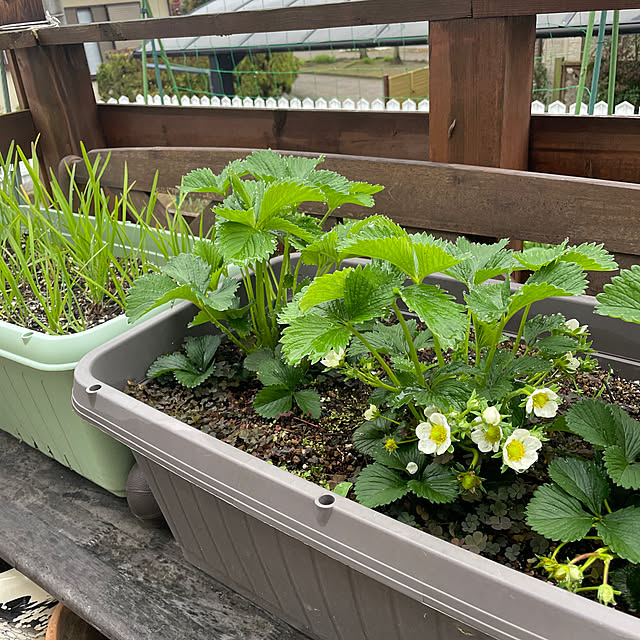 mikasaさんの実例写真