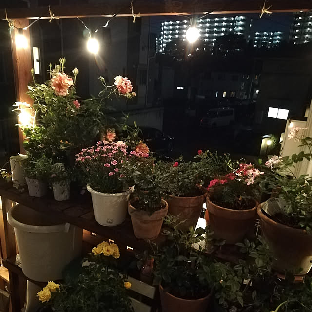 kazuさんの実例写真