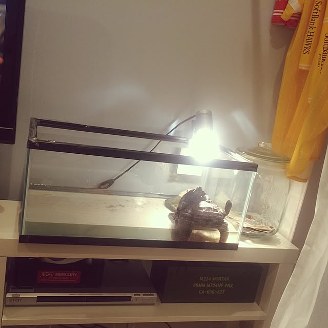 Hiromiさんの実例写真
