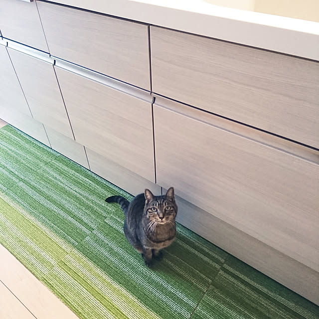 aisuさんの実例写真