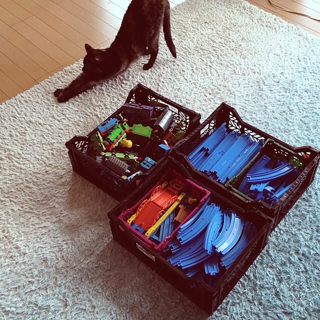 kuronekomimi22さんの実例写真