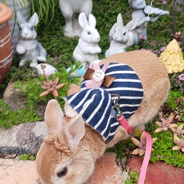 aiさんの実例写真