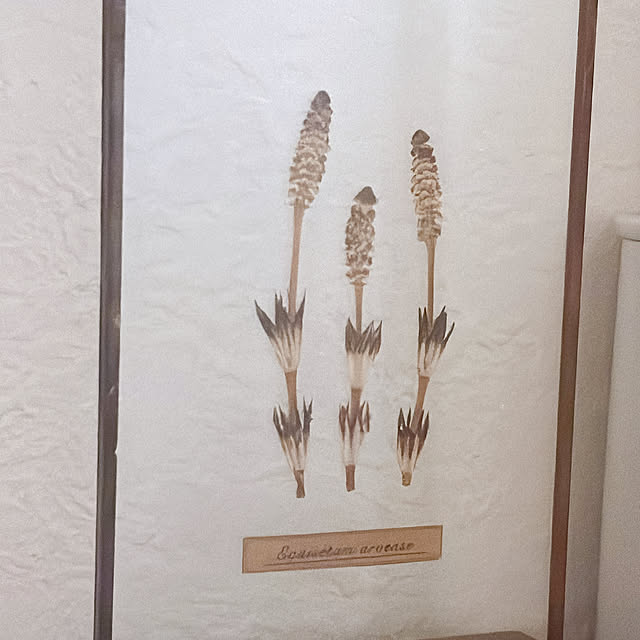 yukkoさんの部屋