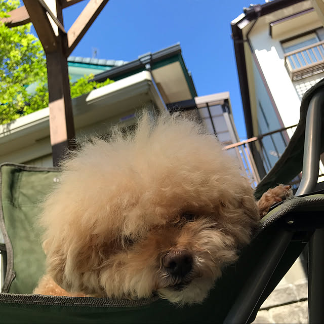 hima820さんの実例写真