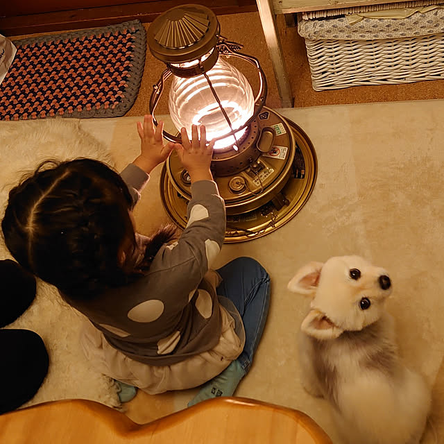 akaidarumaさんの実例写真