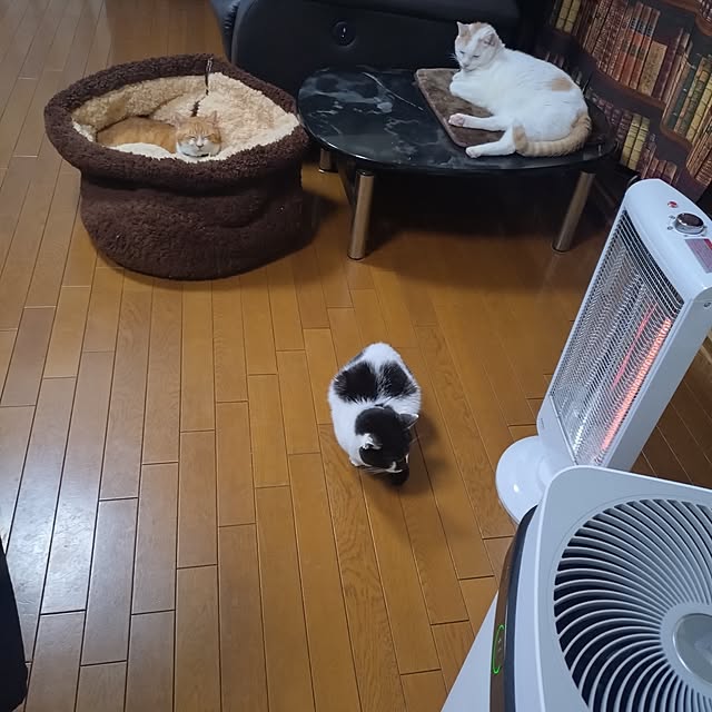 NOAHさんの実例写真