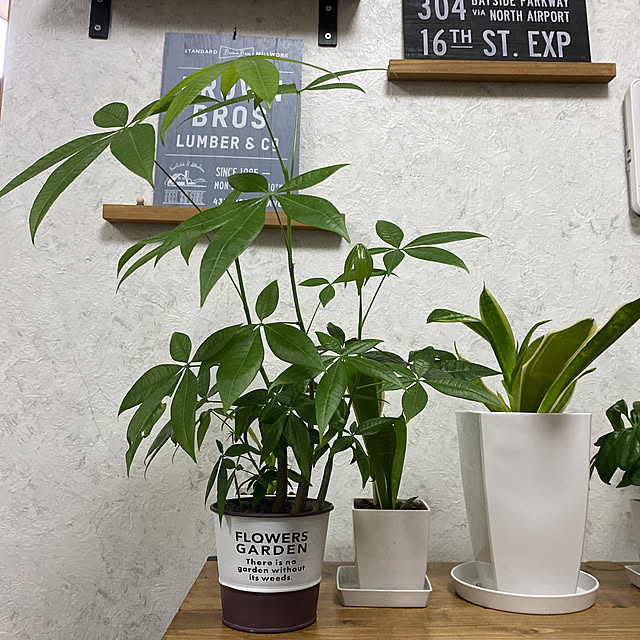 Yoshiさんの実例写真