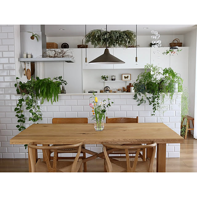 キッチン/タイル張りキッチン/キッチンカウンター/植物のある暮らし/花のある暮らし...などのインテリア実例 - 2025-04-17 19:44:27