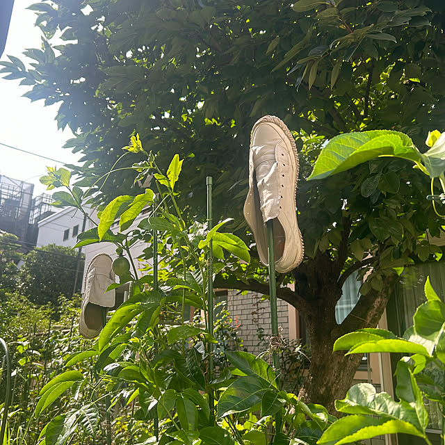 botanさんの実例写真